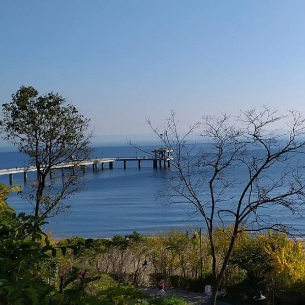 Морський сад