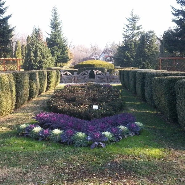 Ботанический сад Анастасии Фат